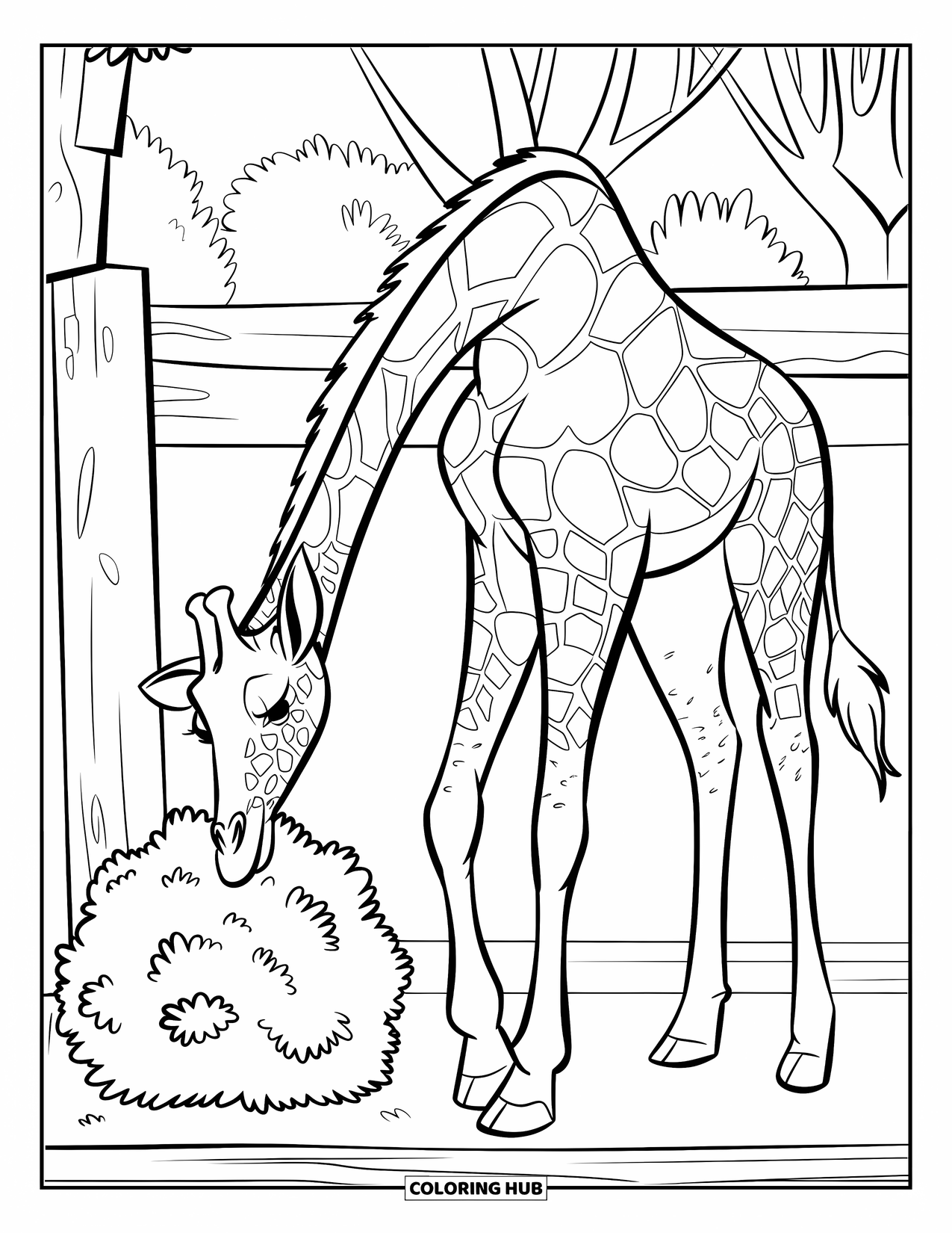 Zoo Animals Coloring Page for Kids: A giraffe lowers its neck to eat from a bush inside the zoo